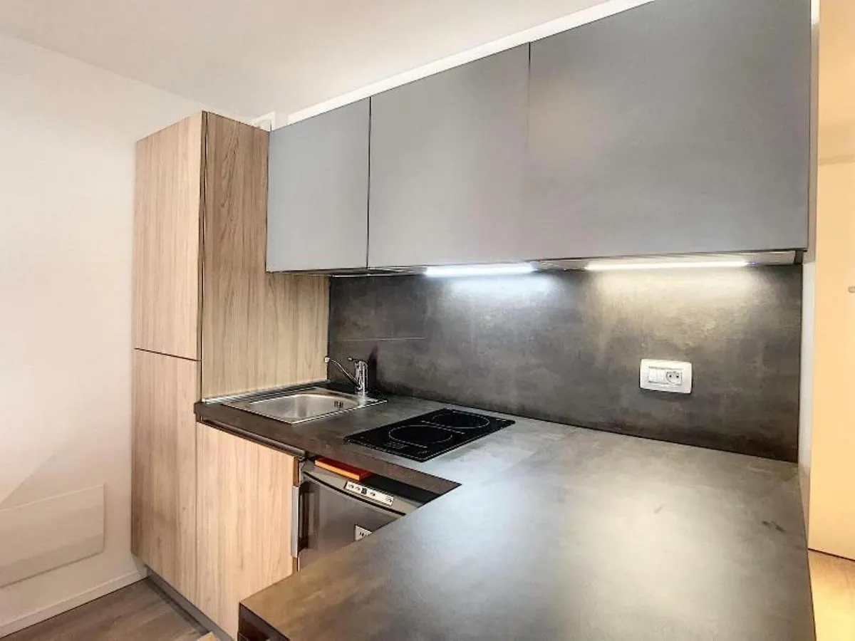 Studio Chamonix-Mont-Blanc, 1 Piece, 3 Personnes - Fr-1-507-60 Apartment